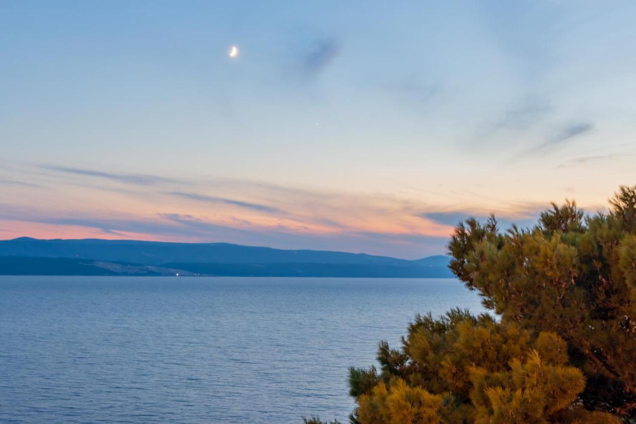 Apartments Villa Mandolina Marusici (Split-Dalmatia) Exterior foto